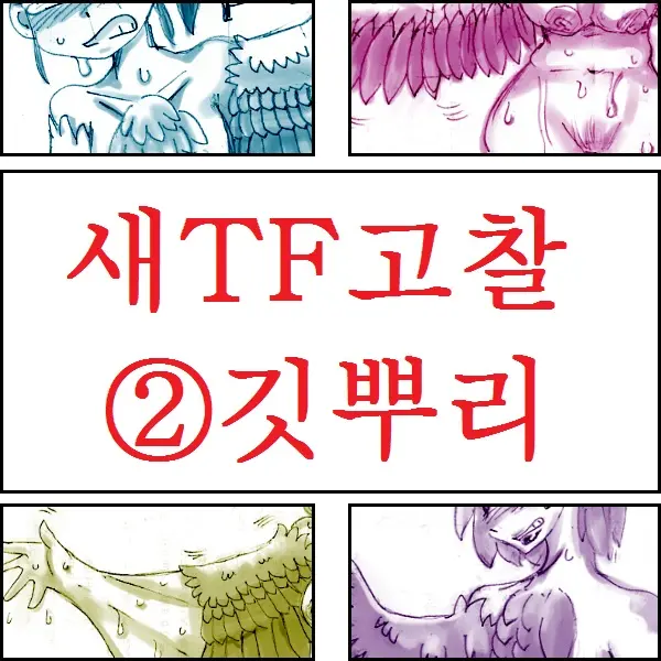 Tori TF Ni Kansuru Kousatsu To Renshuu | Study And Practice About Bird TF